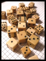 Dice : Dice - 6D - Group of Bone Dice